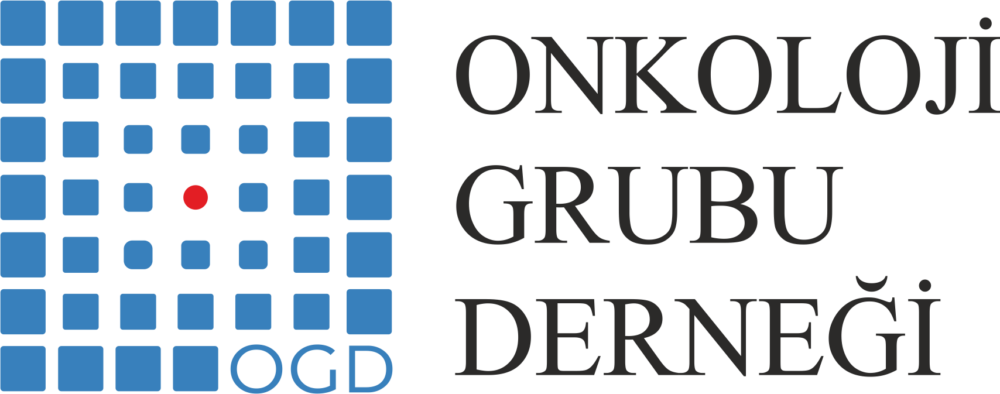 Tog &Ccedil;alıştayı 2026